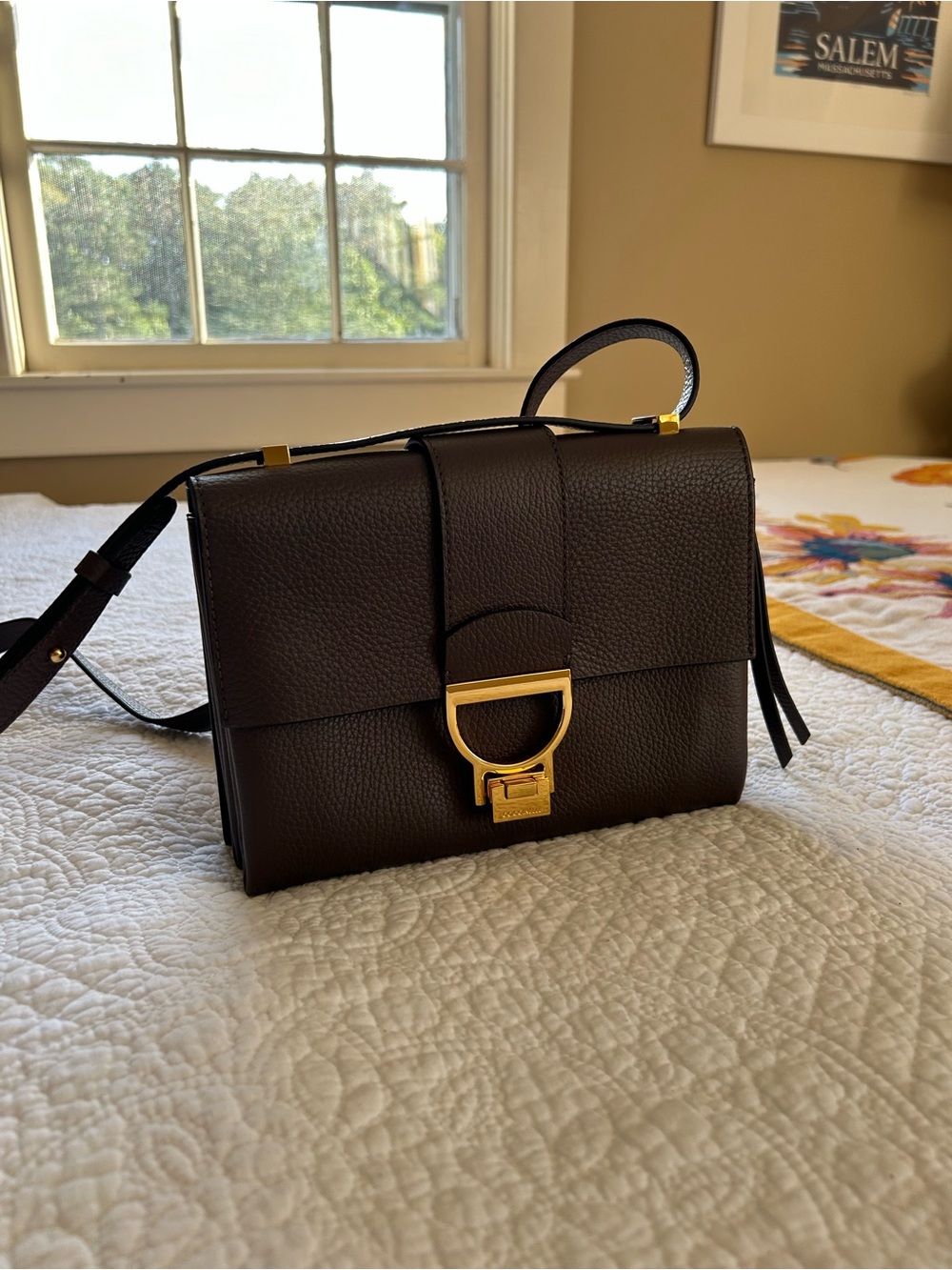 Coccinelle dark brown leather crossbody and underarm bag